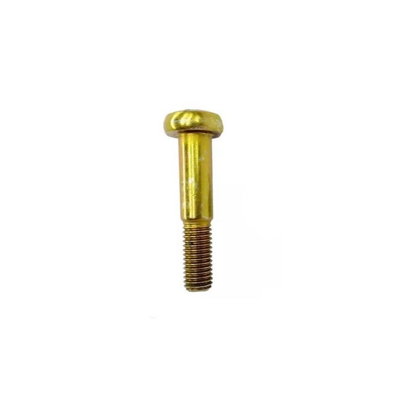 Parafuso Torx Fixação do Pivo - DINPAR 11241