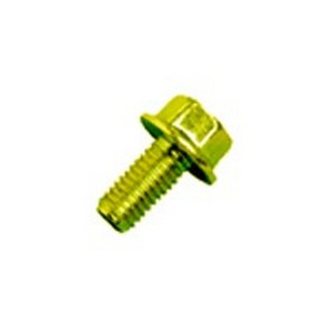 Parafuso da Polia Antivibratória 08X1,25X16mm - ROCHEPECAS 4239900012