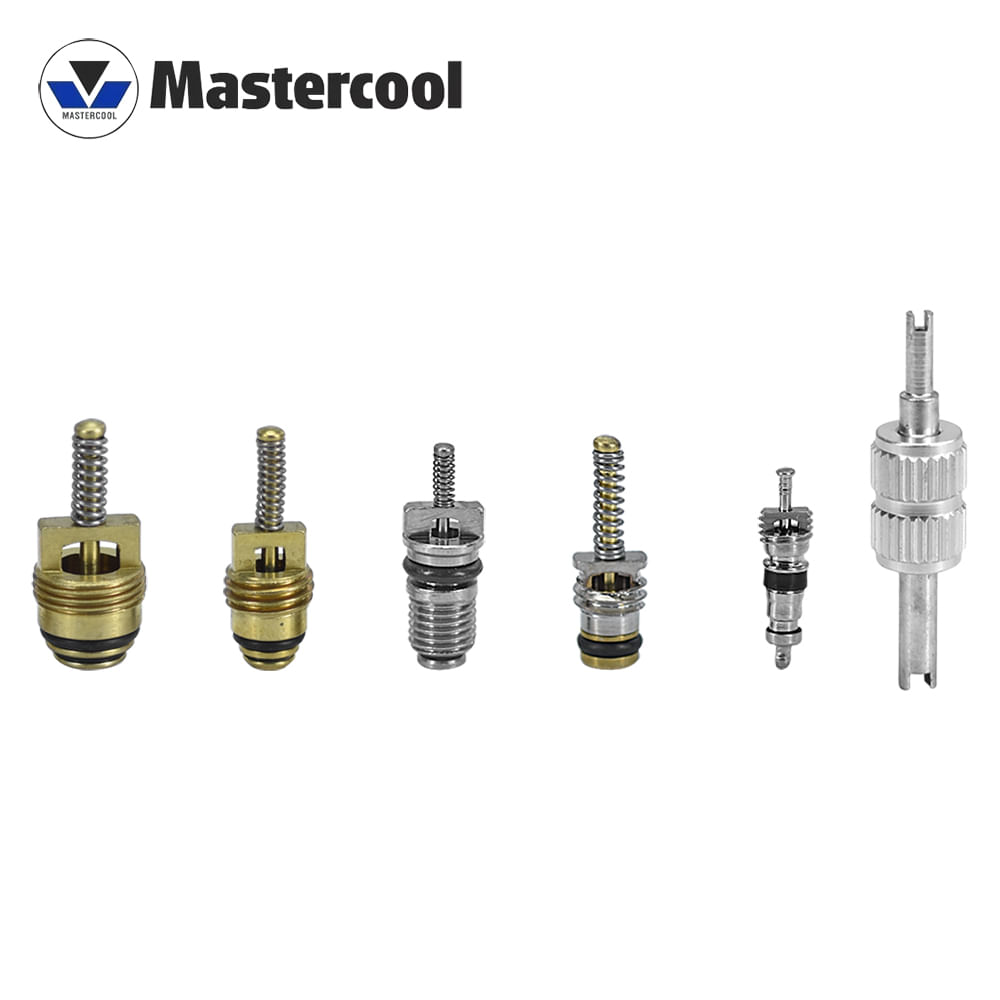 Kit Reparo Núcleo Válvula Ar Condicionado Gás R12 R134A - MASTERCOOL 91337