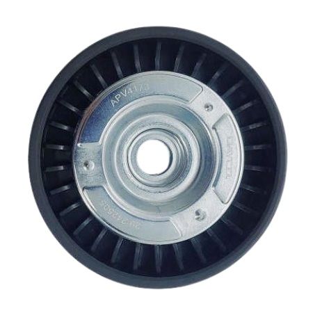 Polia Guia do Alternador - DAYCO APV4173