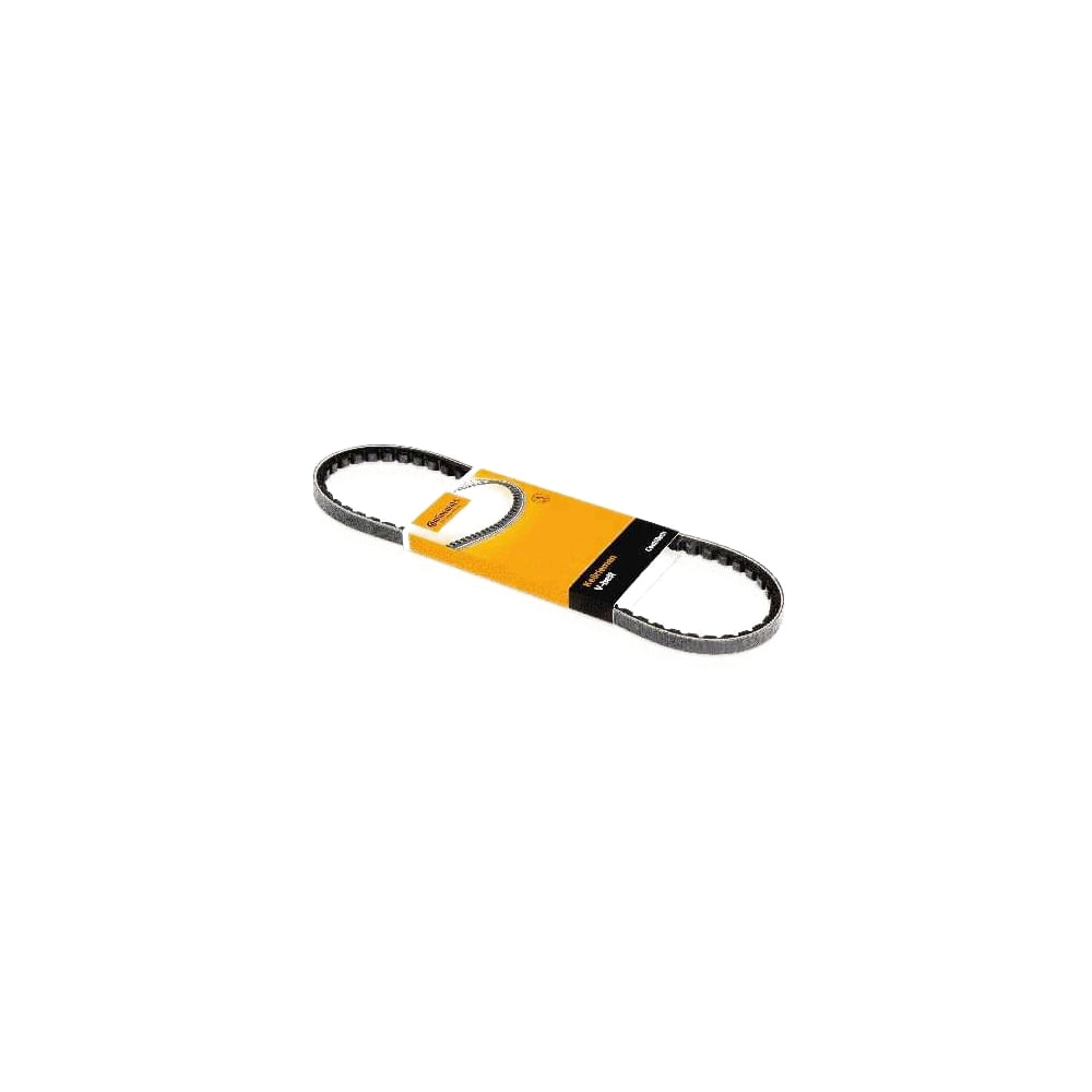 Correia - V - Avx13X1045 Contitech
